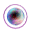 greybullet1w